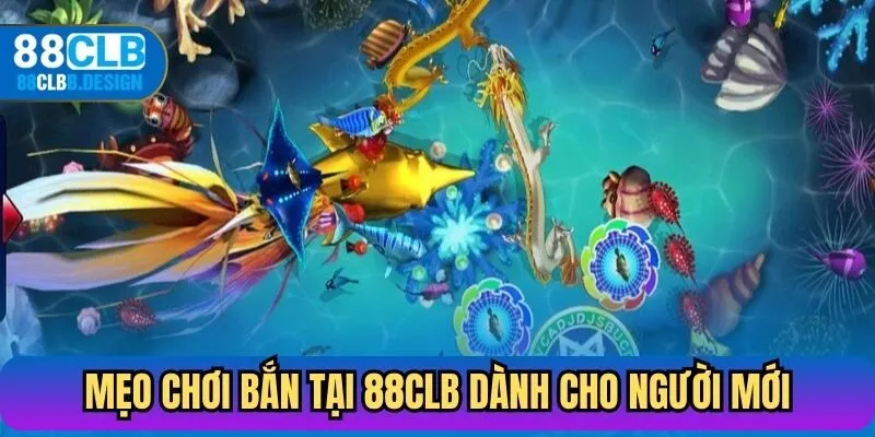 Mẹo chơi bắn cá tại 88CLB dành cho người mới