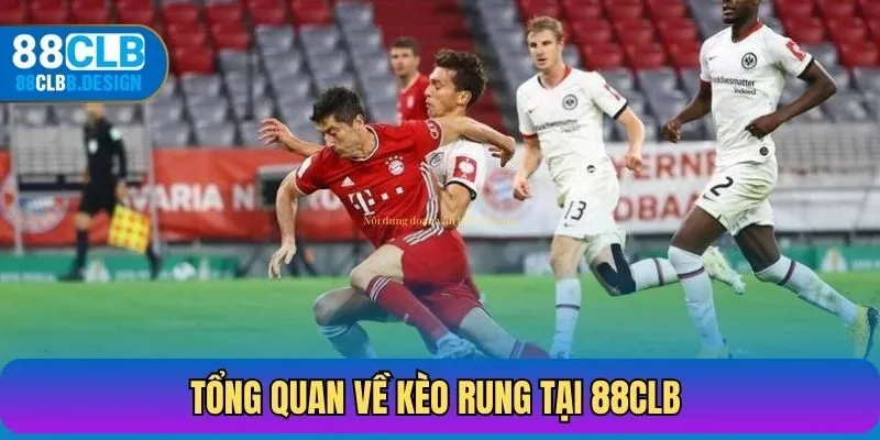 Tổng quan về kèo rung tại 88CLB